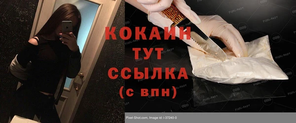 крисы Абаза