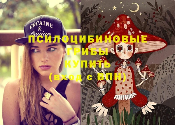 крисы Абаза
